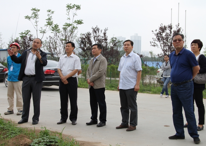 2016-6-1政協(xié)副主席楊文斌檢查工地 180.jpg