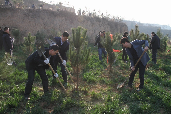 2017-3-8���F�x��(w��)ֲ�� 047.jpg