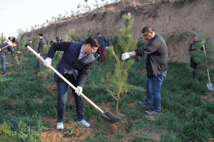 2017-3-8���F�x��(w��)ֲ�� 028.jpg